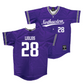 Northwestern Baseball Purple Jersey - Trent Liolios #28